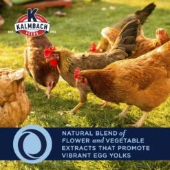 Kalmbach Feeds All Natural 9% Protein Chicken Supplement -Sunny Decor Shop 218107 PT2. AC SS1800 V1682112371