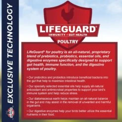 Kalmbach Feeds All Natural 9% Protein Chicken Supplement -Sunny Decor Shop 218107 PT5. AC SS1800 V1682112369