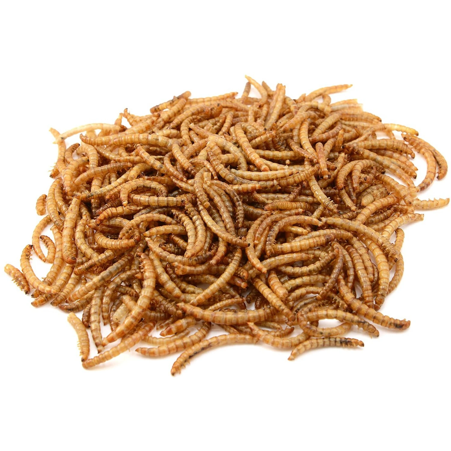 Exotic Nutrition Dried Mealworms 5 Exotic Nutrition Dried Mealworms - Image 3