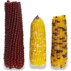 Vitakraft Mini-Pop Corn Cob Bird Treat -Sunny Decor Shop 222088 PT2. AC SS1800 V1666652479