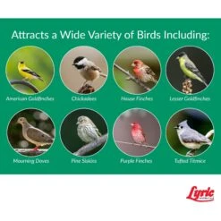 Lyric Nyjer Seed Wild Bird Food, 10-lb Bag 12 Lyric Nyjer Seed Wild Bird Food, 10-lb Bag -Sunny Decor Shop 222102 PT4. AC SS1800 V1662688884