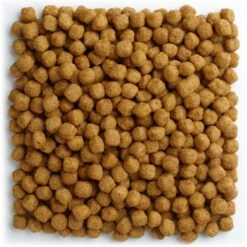 Mazuri Breeder Parrot Food 13 Mazuri Breeder Parrot Food -Sunny Decor Shop 222227 PT2. AC SS1800 V1602032464