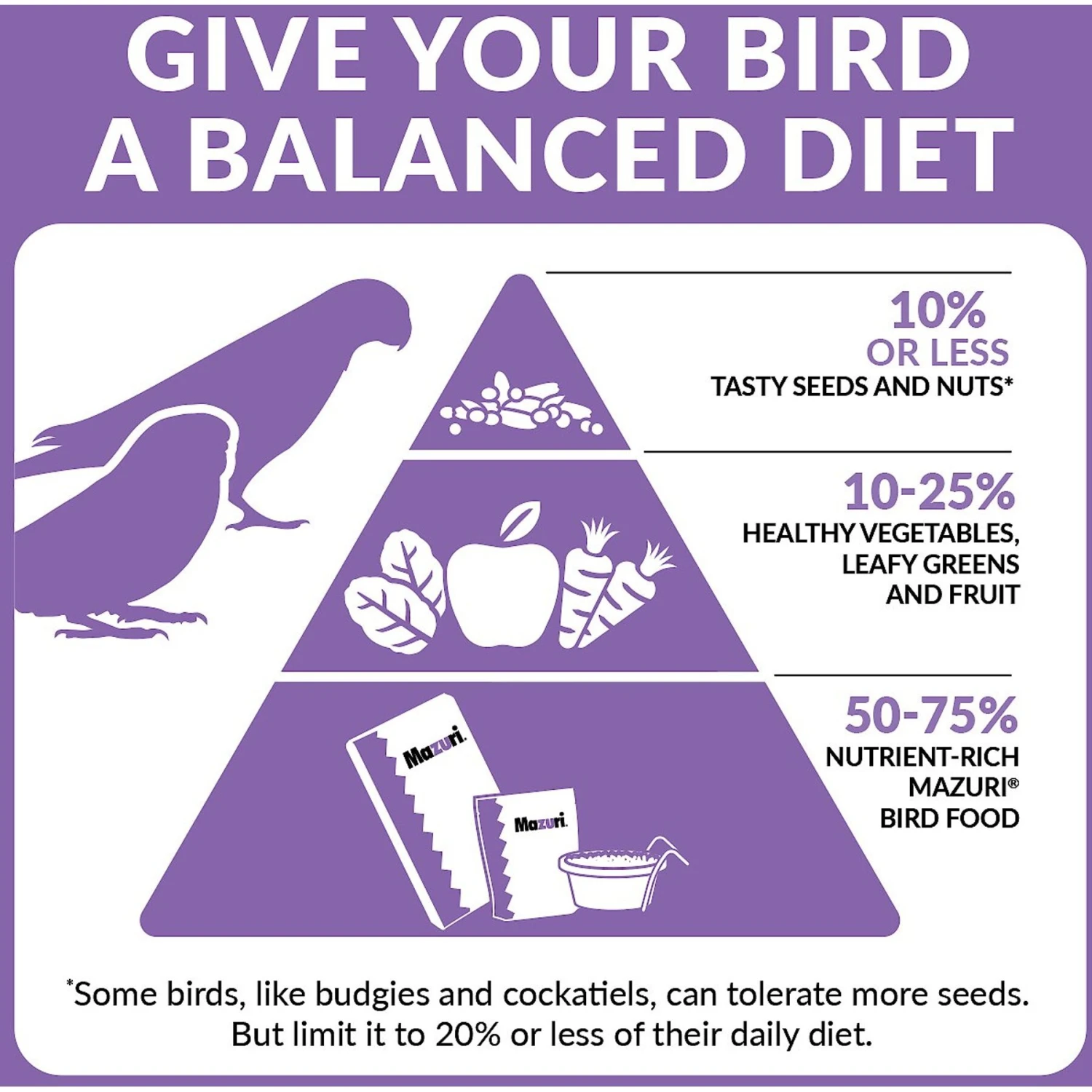 Mazuri Breeder Parrot Food 6 Mazuri Breeder Parrot Food - Image 4