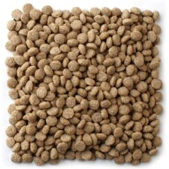 Mazuri Waterfowl Maintenance Duck & Geese Food -Sunny Decor Shop 222250 PT2. AC SS1800 V1602032157