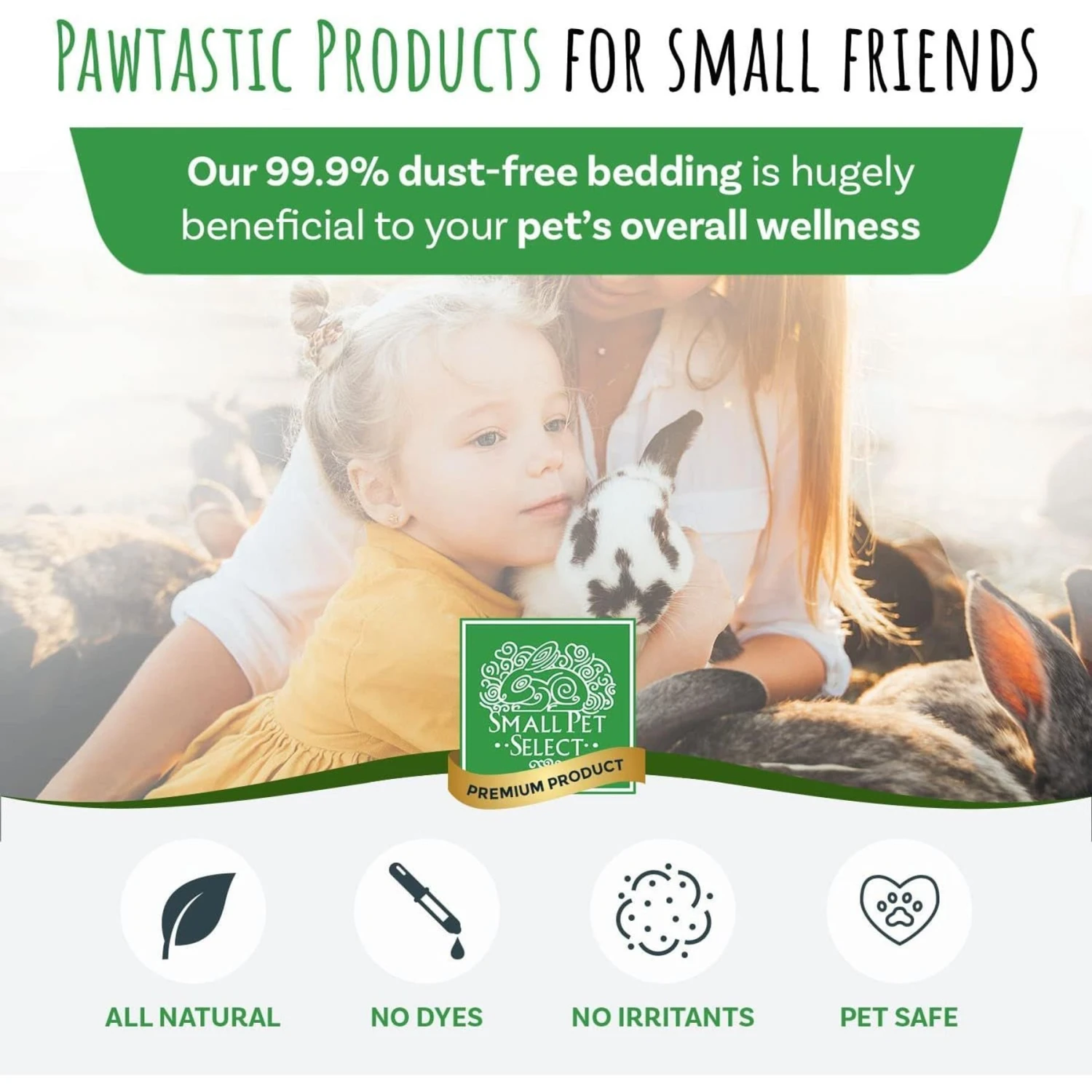 Small Pet Select Small Pet Aspen Bedding 5 Small Pet Select Small Pet Aspen Bedding - Image 3