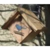 Bird Houses By Mark Cedar Cube Bird House -Sunny Decor Shop 224894 MAIN. AC SS1800 V1584969124