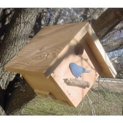 Bird Houses By Mark Cedar Cube Bird House -Sunny Decor Shop 224894 PT2. AC SS1800 V1584969125