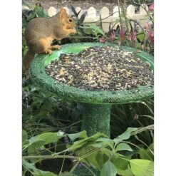 Exaco Bird Bath, 1.3-gal -Sunny Decor Shop 226399 pt4. AC SS1800 V1584019099