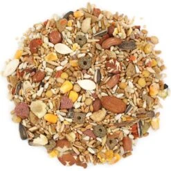 Sunseed Vita Prima Conure Food, 3-lb Bag -Sunny Decor Shop 227008 PT2. AC SS1800 V1666649440