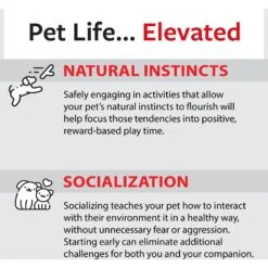 Caitec Featherland Paradise Rainbow Stack Bird Toy, Small 18 Caitec Featherland Paradise Rainbow Stack Bird Toy, Small -Sunny Decor Shop 228186 PT7. AC SS1800 V1669660637