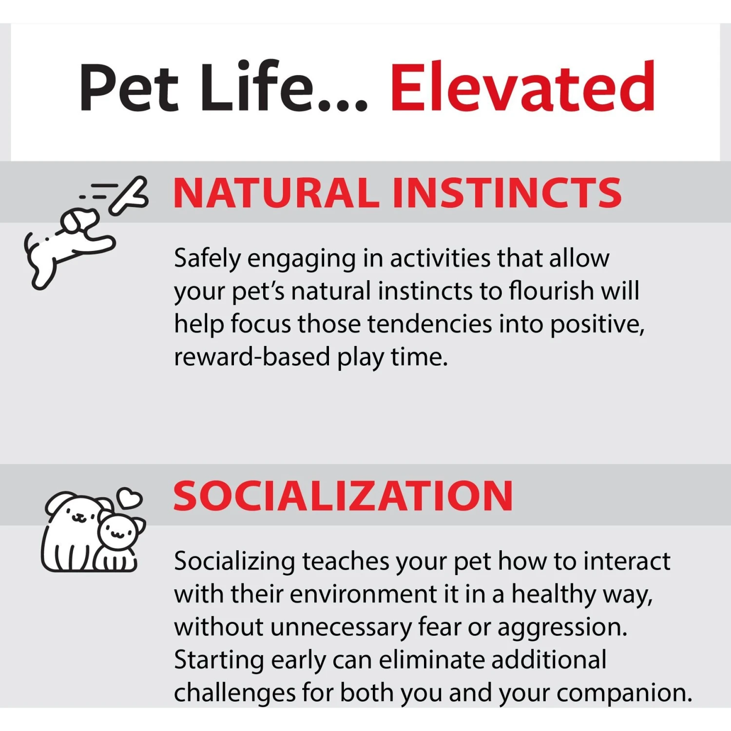 Caitec Featherland Paradise Rainbow Stack Bird Toy, Small 10 Caitec Featherland Paradise Rainbow Stack Bird Toy, Small - Image 8