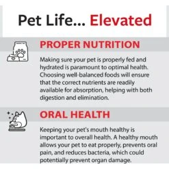 Caitec Featherland Paradise Rainbow Stack Bird Toy, Small 19 Caitec Featherland Paradise Rainbow Stack Bird Toy, Small -Sunny Decor Shop 228186 PT8. AC SS1800 V1669660635