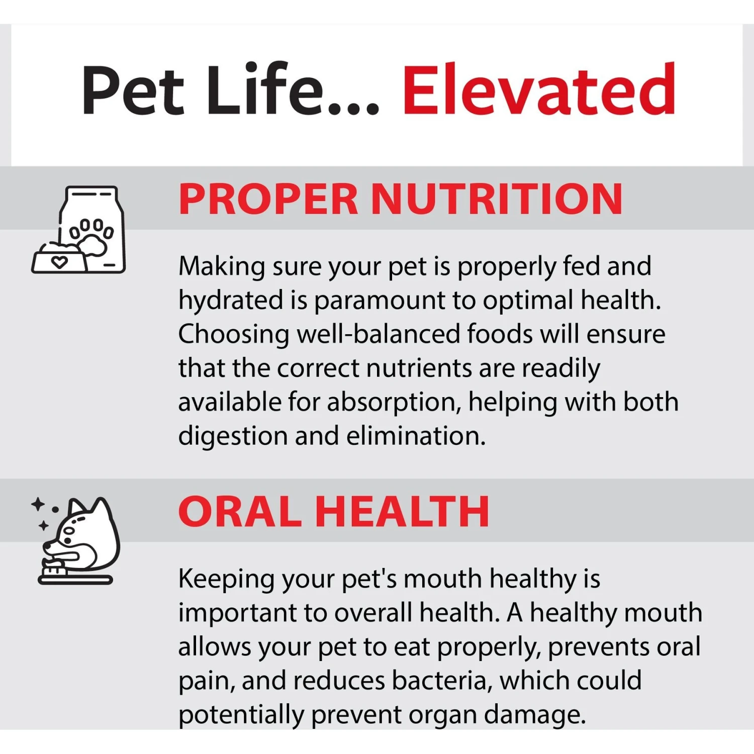 Caitec Featherland Paradise Rainbow Stack Bird Toy, Small 11 Caitec Featherland Paradise Rainbow Stack Bird Toy, Small - Image 9