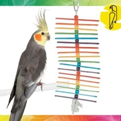 Caitec Featherland Paradise Popsicle Sticks Bird Toy -Sunny Decor Shop 228190 PT1. AC SS1800 V1669660661