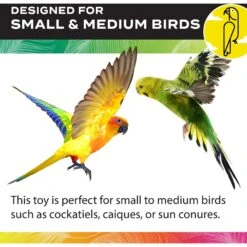 Caitec Featherland Paradise Popsicle Sticks Bird Toy -Sunny Decor Shop 228190 PT3. AC SS1800 V1669660661