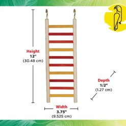 Caitec Featherland Paradise Parakeet Ladder Bird Toy -Sunny Decor Shop 228192 PT2. AC SS1800 V1668531340