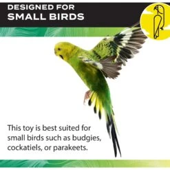 Caitec Featherland Paradise Parakeet Ladder Bird Toy -Sunny Decor Shop 228192 PT3. AC SS1800 V1668531343