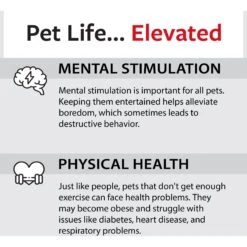 Caitec Featherland Paradise Parakeet Ladder Bird Toy -Sunny Decor Shop 228192 PT6. AC SS1800 V1668532569