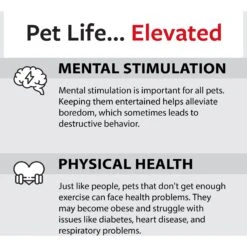 Caitec Featherland Paradise Parakeet Swing Bird Toy 17 Caitec Featherland Paradise Parakeet Swing Bird Toy -Sunny Decor Shop 228196 PT6. AC SS1800 V1668637223