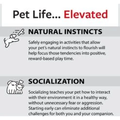 Caitec Featherland Paradise Parakeet Swing Bird Toy 18 Caitec Featherland Paradise Parakeet Swing Bird Toy -Sunny Decor Shop 228196 PT7. AC SS1800 V1668532573