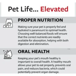 Caitec Featherland Paradise Parakeet Swing Bird Toy 19 Caitec Featherland Paradise Parakeet Swing Bird Toy -Sunny Decor Shop 228196 PT8. AC SS1800 V1668531823