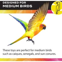 Caitec Featherland Paradise Arachnid Bird Toy, Medium -Sunny Decor Shop 228198 PT3. AC SS1800 V1668729243