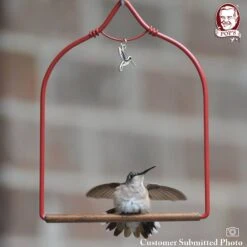 Pop's Birding Company The Original Hummingbird Swing Charmed Bird Swing -Sunny Decor Shop 233846 PT2. AC SS1800 V1633564304