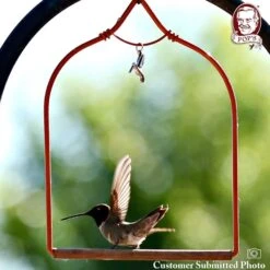 Pop's Birding Company The Original Hummingbird Swing Charmed Bird Swing -Sunny Decor Shop 233846 PT3. AC SS1800 V1633555603