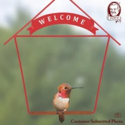 Pop's Birding Company The Original Hummingbird Swing Welcome Bird Swing -Sunny Decor Shop 233853 PT2. AC SS1800 V1633571187