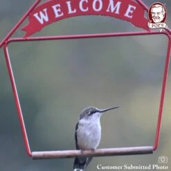 Pop's Birding Company The Original Hummingbird Swing Welcome Bird Swing -Sunny Decor Shop 233853 PT3. AC SS1800 V1633568530