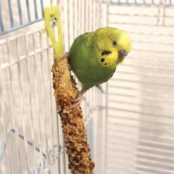 Vitakraft Crunch Sticks Honey, Egg & Apple Variety Pack Parakeet Bird Treat Toy -Sunny Decor Shop 234264 PT3. AC SS1800 V1666650891