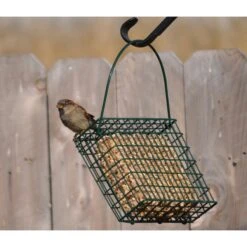 C&S EZ Fill Seed Cake Snak Wild Bird Feeder -Sunny Decor Shop 239556 PT3. AC SS1800 V1644002502