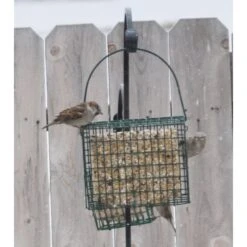 C&S EZ Fill Seed Cake Snak Wild Bird Feeder -Sunny Decor Shop 239556 PT5. AC SS1800 V1644005563