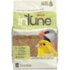 Higgins InTune Complete & Balanced Diet Canary & Finch Bird Food 1 Higgins InTune Complete & Balanced Diet Canary & Finch Bird Food -Sunny Decor Shop 241388 MAIN. AC SS1800 V1597175779