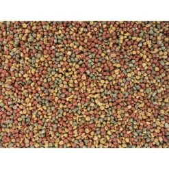 Higgins InTune Complete & Balanced Diet Canary & Finch Bird Food 10 Higgins InTune Complete & Balanced Diet Canary & Finch Bird Food -Sunny Decor Shop 241388 PT2. AC SS1800 V1593714058