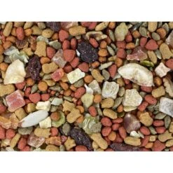 Higgins InTune Harmony Conure & Cockatiel Bird Food 12 Higgins InTune Harmony Conure & Cockatiel Bird Food -Sunny Decor Shop 241404 PT2. AC SS1800 V1593712821