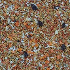 Higgins InTune Harmony Parakeet Bird Food -Sunny Decor Shop 241407 PT2. AC SS1800 V1593712814