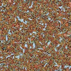 Higgins InTune Harmony Canary & Finch Bird Food -Sunny Decor Shop 241410 PT2. AC SS1800 V1593712893