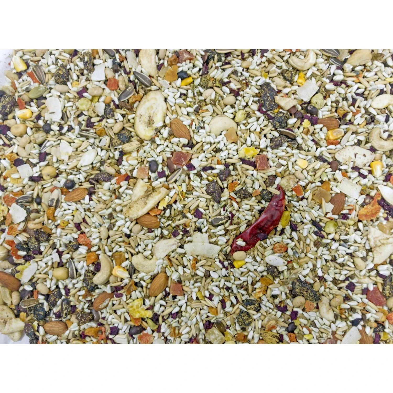 Higgins Mayan Harvest Tikal Bird Food 5 Higgins Mayan Harvest Tikal Bird Food - Image 3