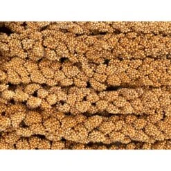 Higgins Spray Millet Bird Treats -Sunny Decor Shop 241433 PT1. AC SS1800 V1682627413