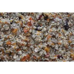 Higgins Worldly Cuisines Spice Market Bird Treats 8 Higgins Worldly Cuisines Spice Market Bird Treats -Sunny Decor Shop 241439 PT2. AC SS1800 V1593713799