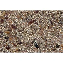 Higgins Worldly Cuisines African Sunset Bird Treats 7 Higgins Worldly Cuisines African Sunset Bird Treats -Sunny Decor Shop 241450 PT2. AC SS1800 V1593712345