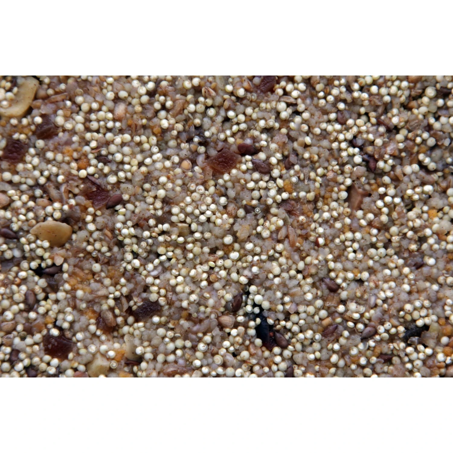 Higgins Worldly Cuisines African Sunset Bird Treats 4 Higgins Worldly Cuisines African Sunset Bird Treats - Image 2