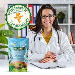 Bird Street Bistro CinnaSpice Delight Bird Food -Sunny Decor Shop 243684 PT2. AC SS1800 V1692383445