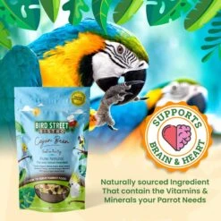 Bird Street Bistro Cajun Bean Feast On The Fly Bird Food 14 Bird Street Bistro Cajun Bean Feast On The Fly Bird Food -Sunny Decor Shop 243703 PT5. AC SS1800 V1692391562