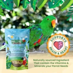 Bird Street Bistro Hearty Veggies Bird Food -Sunny Decor Shop 243713 PT5. AC SS1800 V1692391626