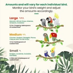 Bird Street Bistro Sample Pack Bird Food, 5 Count -Sunny Decor Shop 243718 PT5. AC SS1800 V1671635810