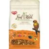 Kaytee Food From The Wild Conure Bird Food, 2.5-lb Bag -Sunny Decor Shop 248001 MAIN. AC SS1800 V1610757937
