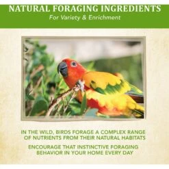 Kaytee Food From The Wild Conure Bird Food, 2.5-lb Bag -Sunny Decor Shop 248001 PT7. AC SS1800 V1610763699