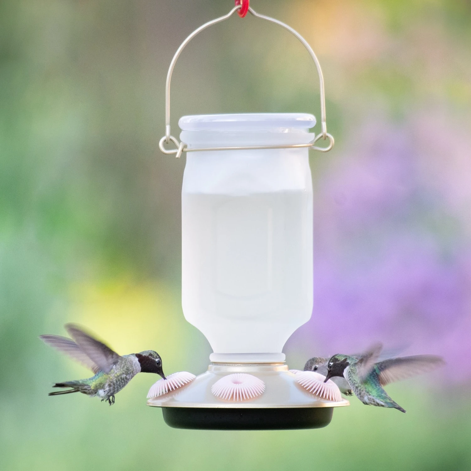 Perky-Pet Sun-Kissed Top-Fill Glass Hummingbird Feeder 4 Perky-Pet Sun-Kissed Top-Fill Glass Hummingbird Feeder - Image 2
